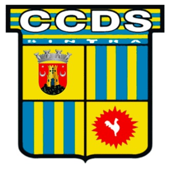Gata-Gineta anima Colónia de Férias do CCDS